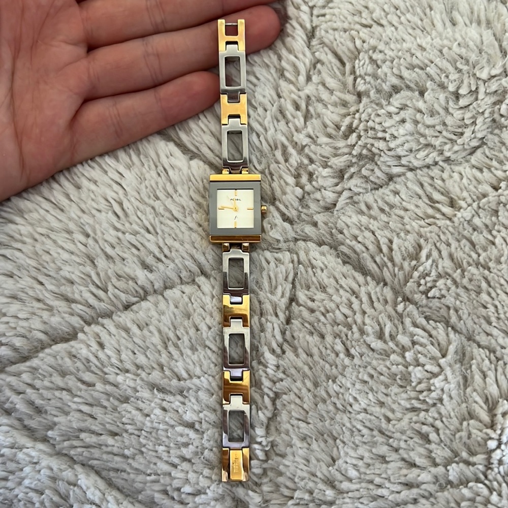 Fossil Watch